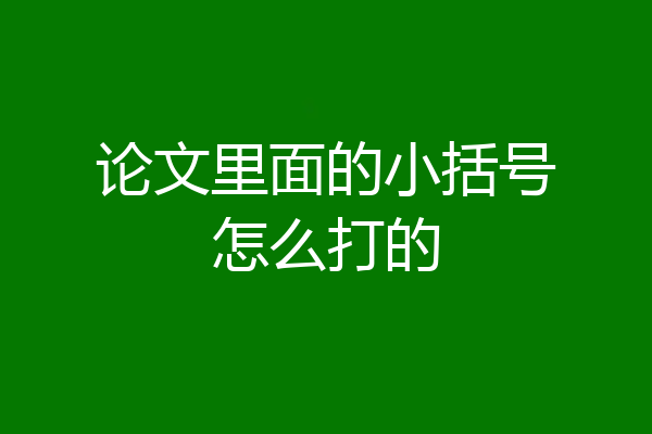 论文里面的小括号怎么打的
