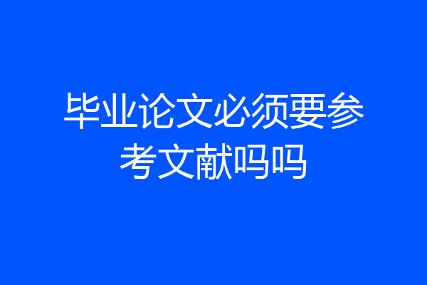 毕业论文必须要参考文献吗吗