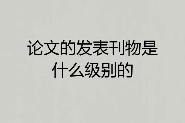 论文的发表刊物是什么级别的