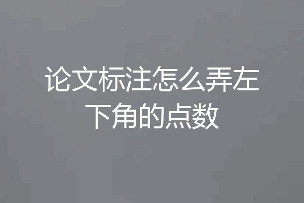 论文标注怎么弄左下角的点数