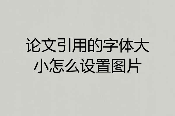 论文引用的字体大小怎么设置图片