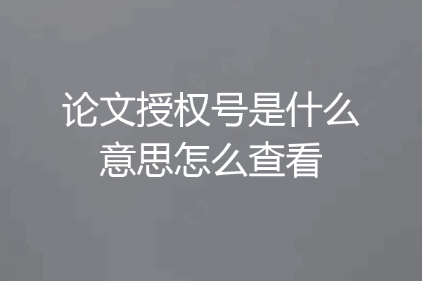 论文授权号是什么意思怎么查看
