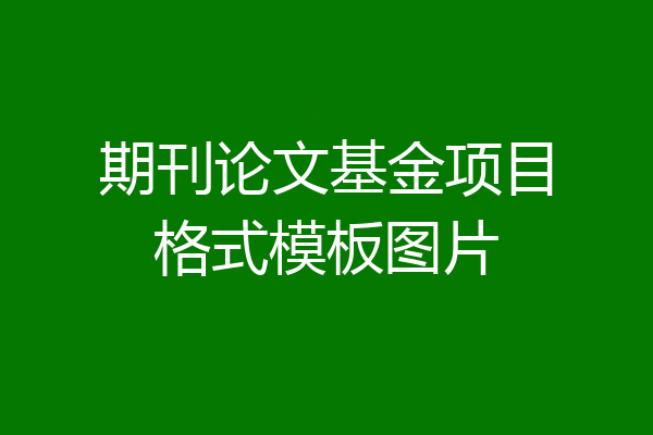 期刊论文基金项目格式模板图片