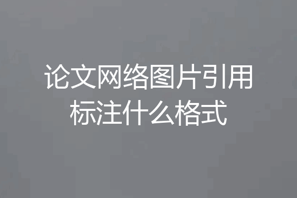 论文网络图片引用标注什么格式