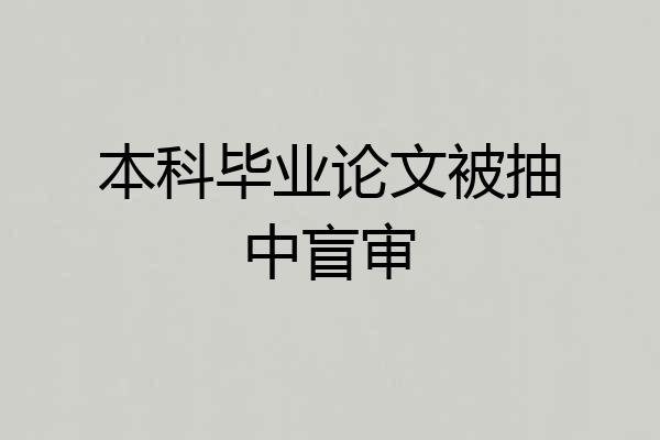 本科毕业论文被抽中盲审