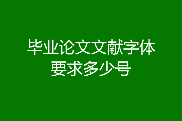 毕业论文文献字体要求多少号