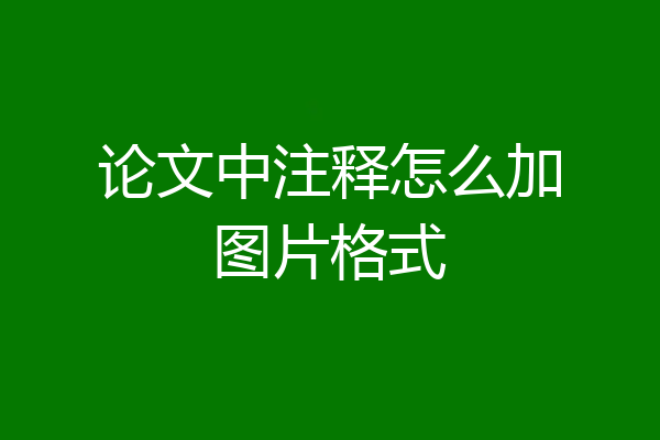 论文中注释怎么加图片格式
