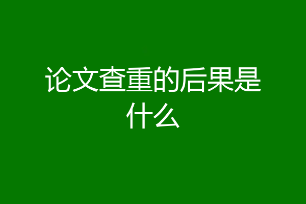 论文查重的后果是什么