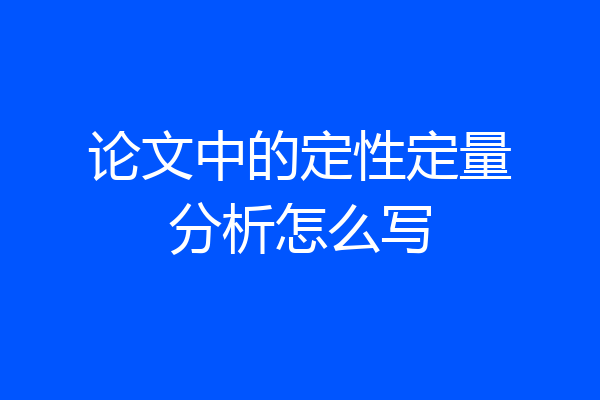 论文中的定性定量分析怎么写