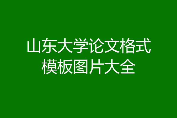 山东大学论文格式模板图片大全
