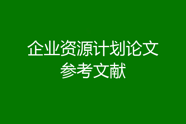 企业资源计划论文参考文献