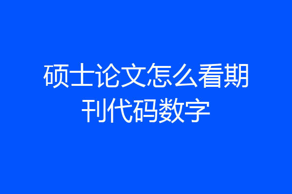 硕士论文怎么看期刊代码数字