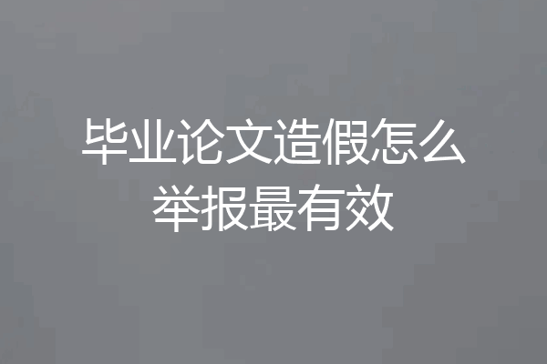 毕业论文造假怎么举报最有效