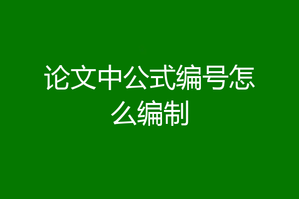 论文中公式编号怎么编制