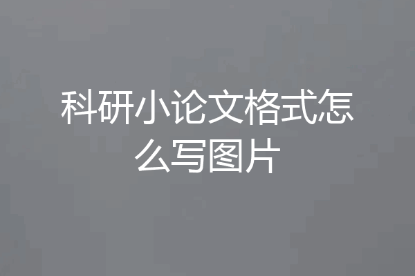 科研小论文格式怎么写图片