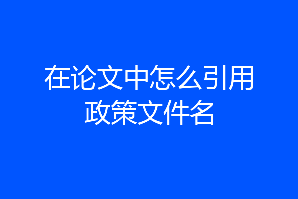 在论文中怎么引用政策文件名