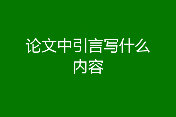 论文中引言写什么内容