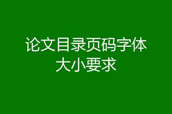 论文目录页码字体大小要求