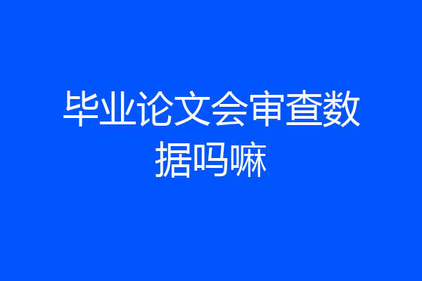 毕业论文会审查数据吗嘛
