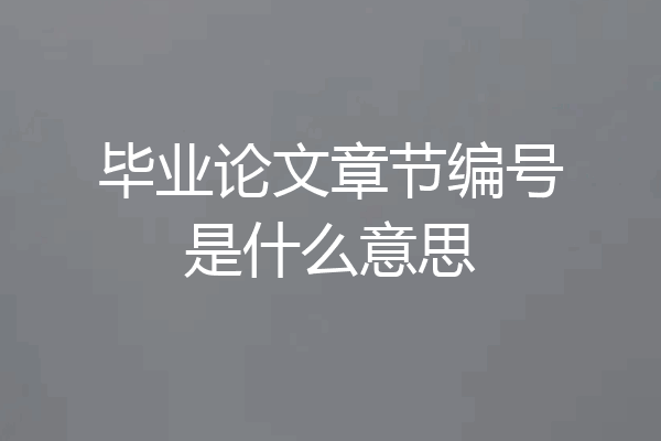 毕业论文章节编号是什么意思