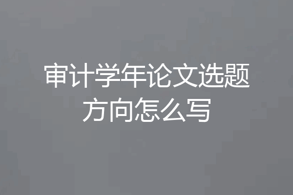 审计学年论文选题方向怎么写