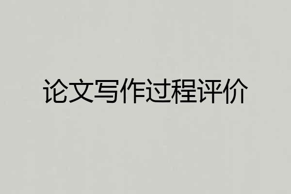 论文写作过程评价