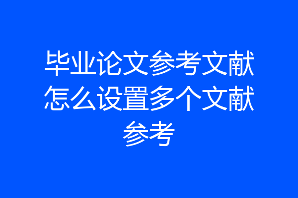 毕业论文参考文献怎么设置多个文献参考