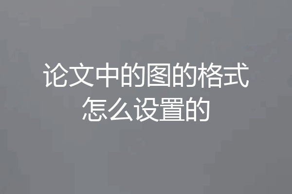 论文中的图的格式怎么设置的