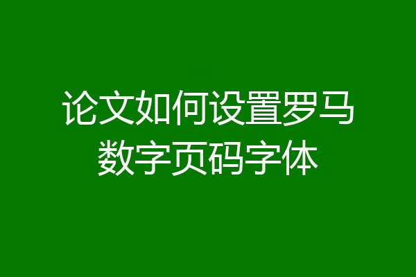 论文如何设置罗马数字页码字体