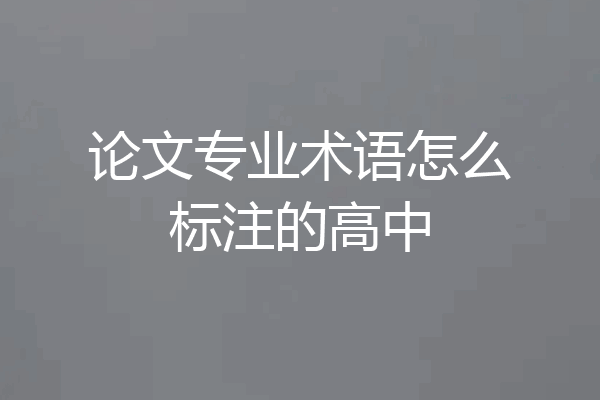 论文专业术语怎么标注的高中