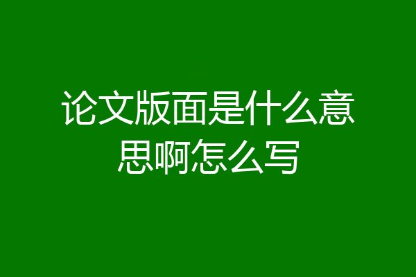 论文版面是什么意思啊怎么写