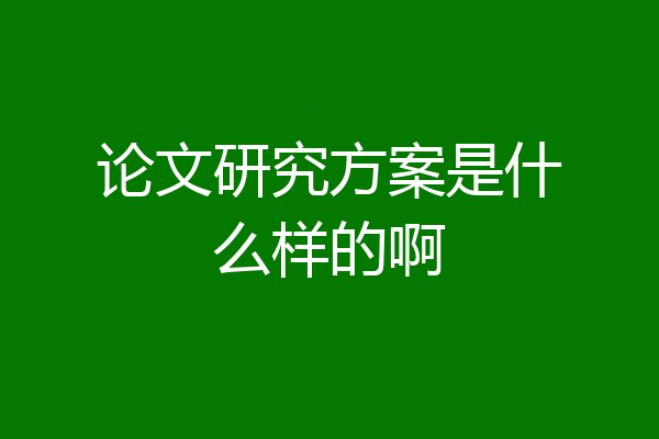 论文研究方案是什么样的啊