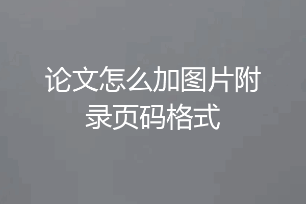 论文怎么加图片附录页码格式