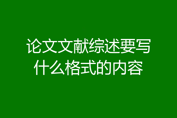 论文文献综述要写什么格式的内容