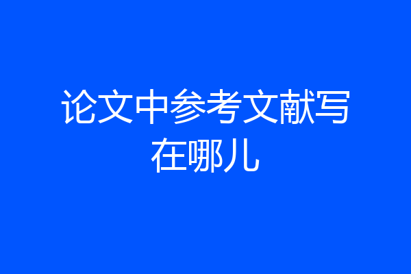 论文中参考文献写在哪儿
