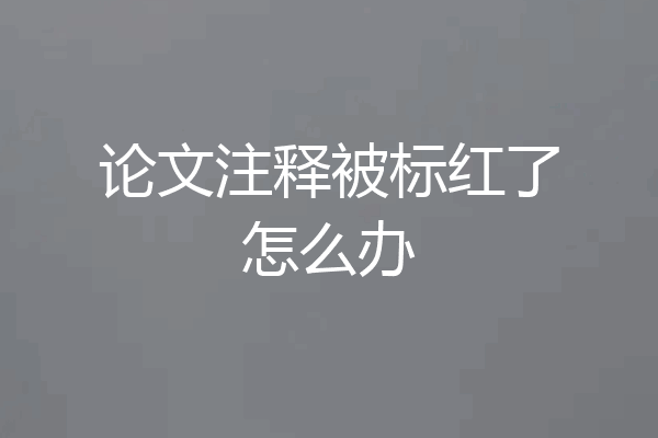 论文注释被标红了怎么办