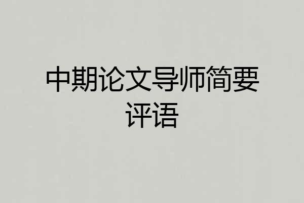 中期论文导师简要评语
