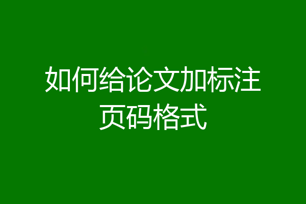 如何给论文加标注页码格式