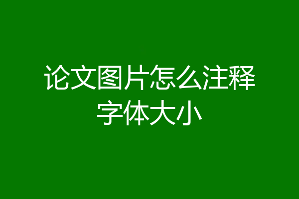 论文图片怎么注释字体大小