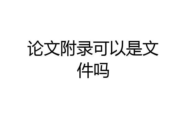 论文附录可以是文件吗