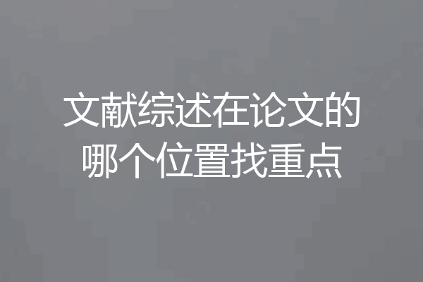 文献综述在论文的哪个位置找重点