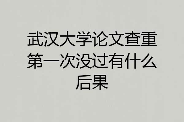 武汉大学论文查重第一次没过有什么后果