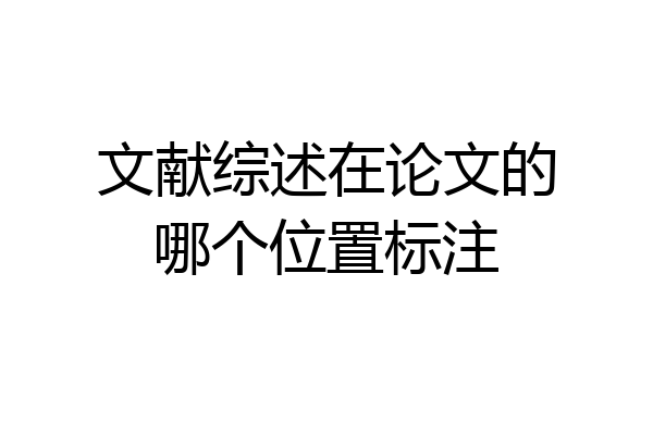 文献综述在论文的哪个位置标注