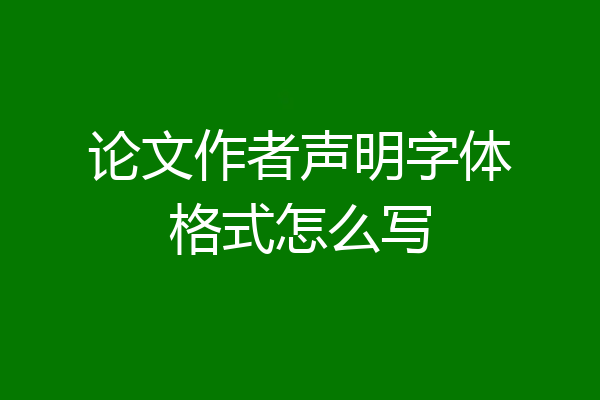 论文作者声明字体格式怎么写