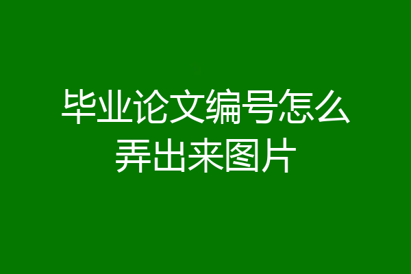 毕业论文编号怎么弄出来图片