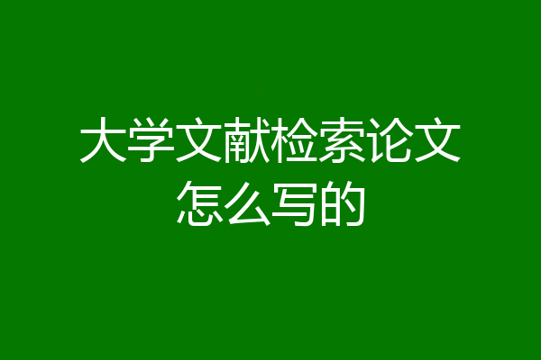 大学文献检索论文怎么写的