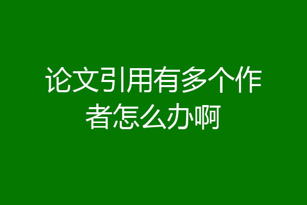 论文引用有多个作者怎么办啊