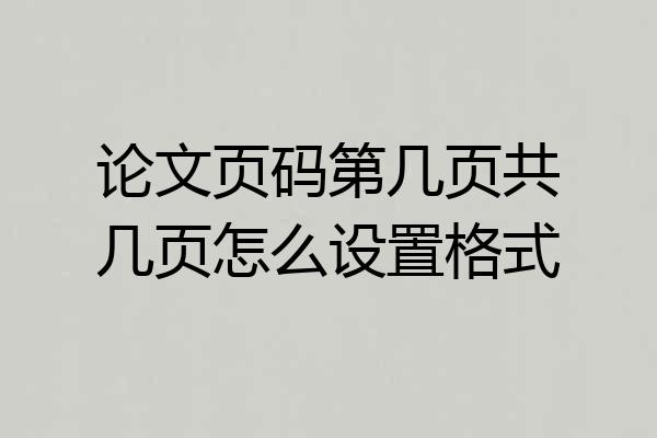 论文页码第几页共几页怎么设置格式