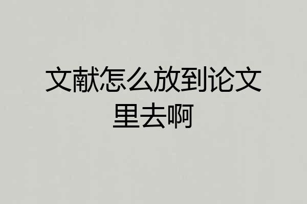 文献怎么放到论文里去啊