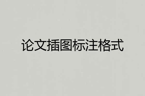 论文插图标注格式